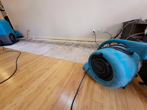 Professional Flood Damage Cleanup technician working in Seneca, IL